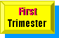 First Trimester