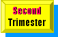 Second Trimester