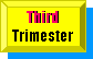 Third Trimester