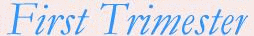 First Trimester